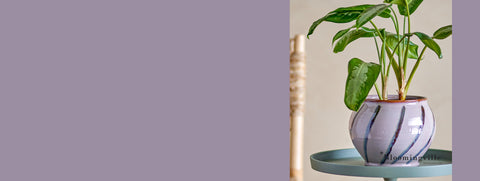 Blumentopf, Bloomingville & Creative Collection