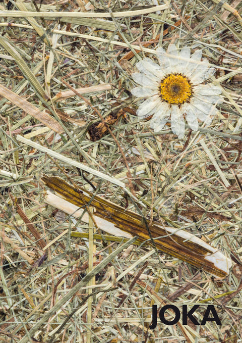 Tapete Green Living 136 cm breit | 19851 Wildspitze Margeritta